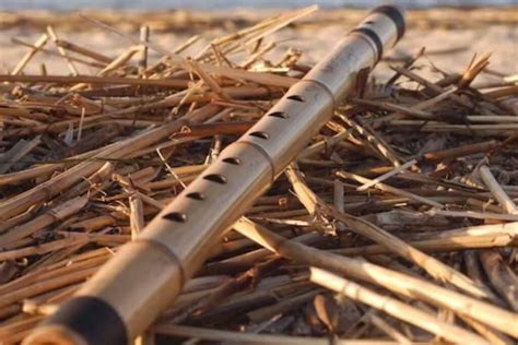  The Enchanted Bamboo Flute - A Magical Tale Whispered Through Generations in Ancient Malaysia!